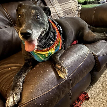 Remington